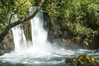 Hermon Stream Nature Reserve, Safed, Palestine