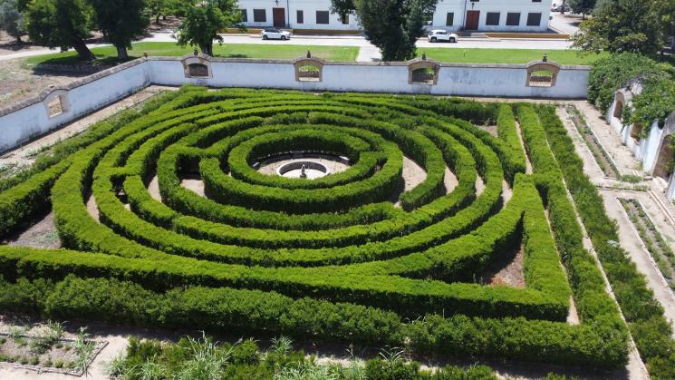 Hedge Labyrinth, Córdoba, Spain